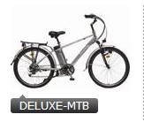 Electric Mountain Bicycle with Fenders and Cargo Rack