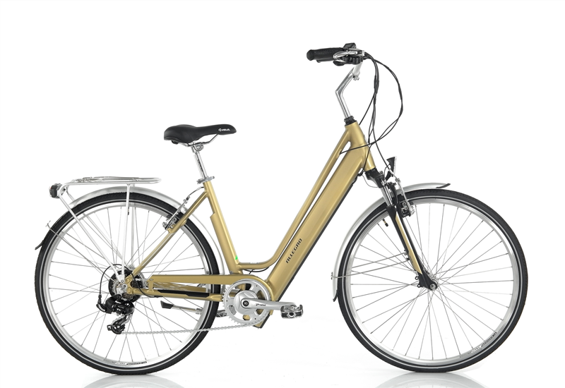 Step-Through Electric City Bicycle