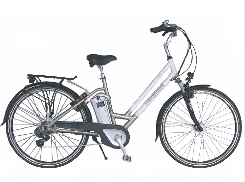 Step-Through Electric Bicycle with Cargo Rack