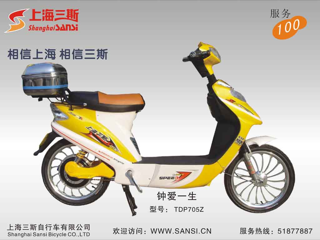 Step-Through Electric Bicycle with Storage