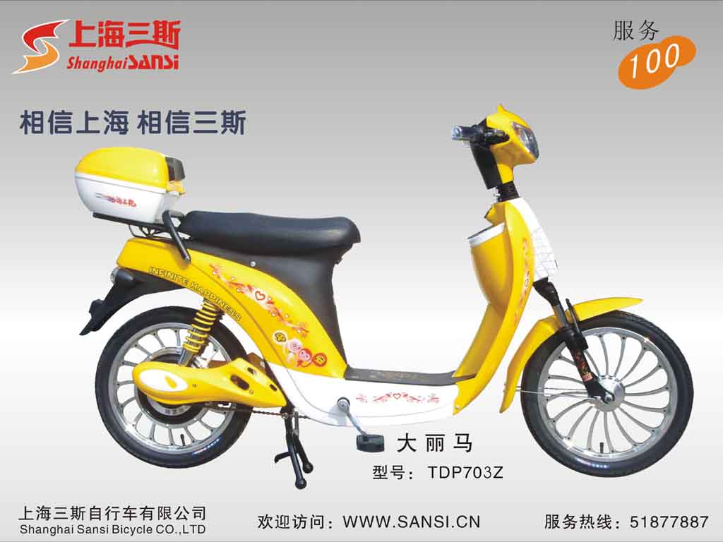 Electric Commuter Bike