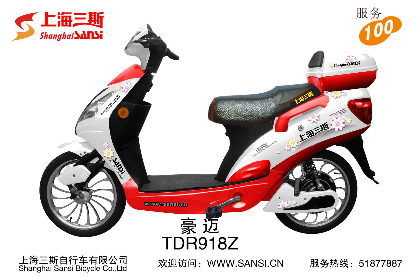 Step-Through Electric Bicycle with Storage