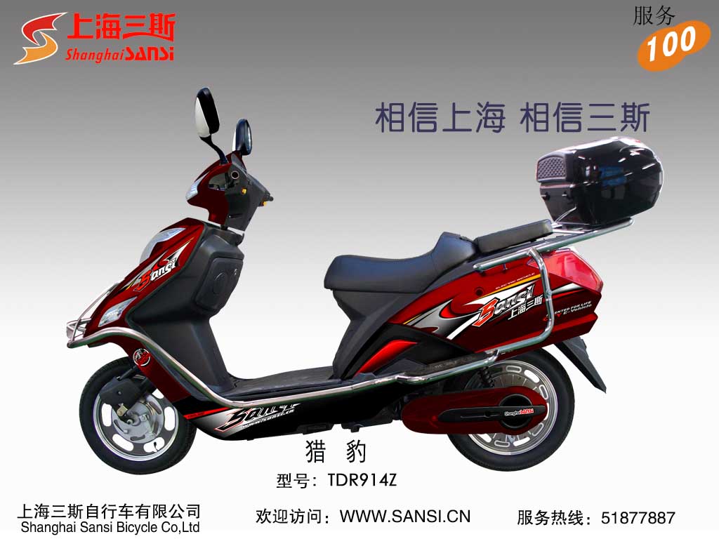 Electric Commuter Bicycle with Rear Storage