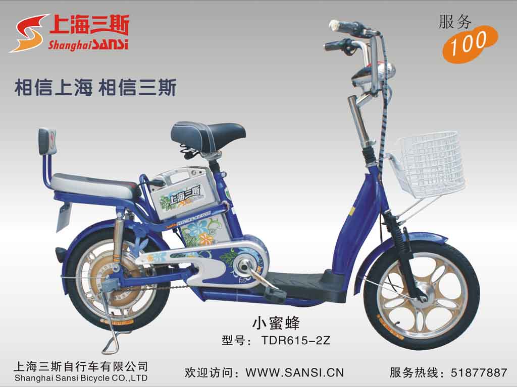 Electric Bicycle with Basket and Backrest