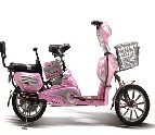 Electric Bicycle with Step-Through Frame