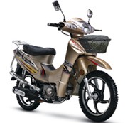 Step-Through Electric Bicycle with Basket and Rack