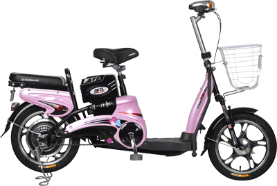 Step-Through Frame Electric Bicycle