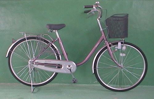 Step-Through Frame Electric Bicycle