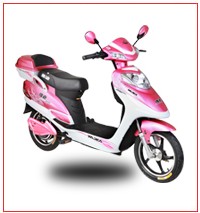 Step-Through Frame Electric Bicycle