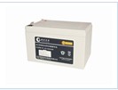 Electric Bike Sealed Lead-Acid Battery