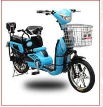 Step-Through Electric Bicycle with Storage