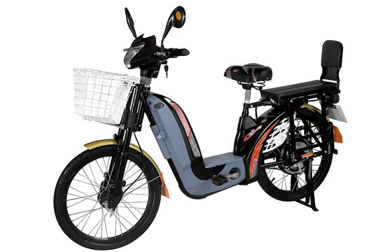 Electric Step-Through Bicycle with Cargo Features