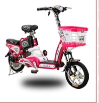 Step-Through Frame Electric Bicycle