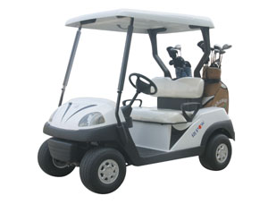Electric Golf Cart