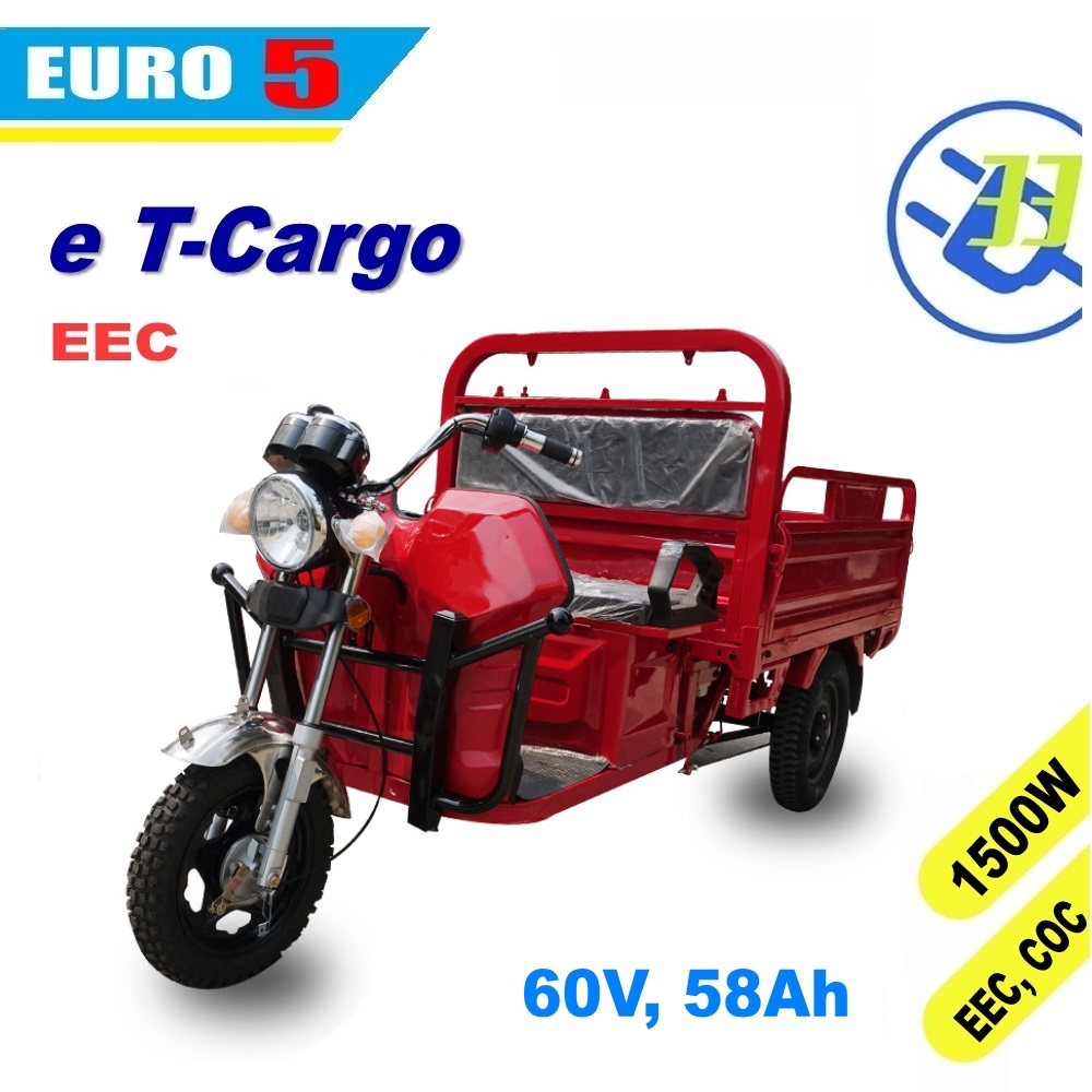 electric cargo trike 3 wheel EV33 motorcycle scooter EEC EURO5 COC (T Cargo) - Image 3