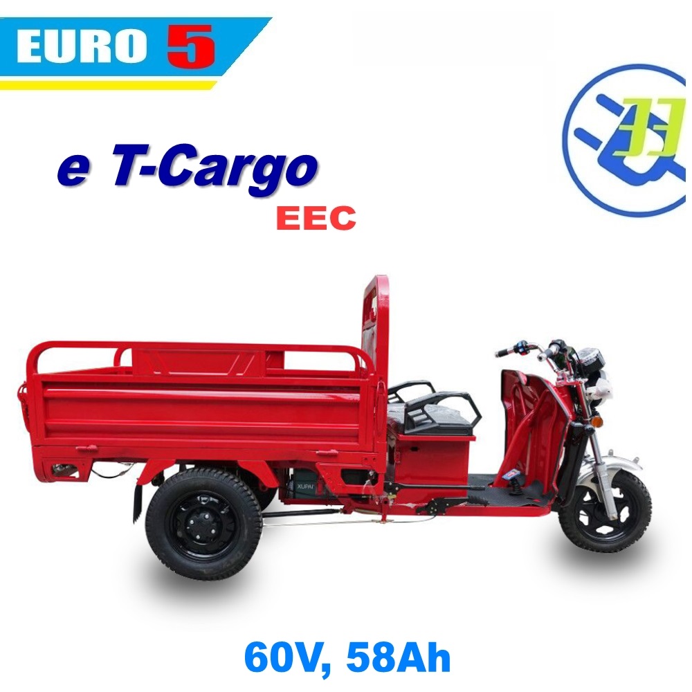 electric cargo trike 3 wheel EV33 motorcycle scooter EEC EURO5 COC (T Cargo) - Image 2