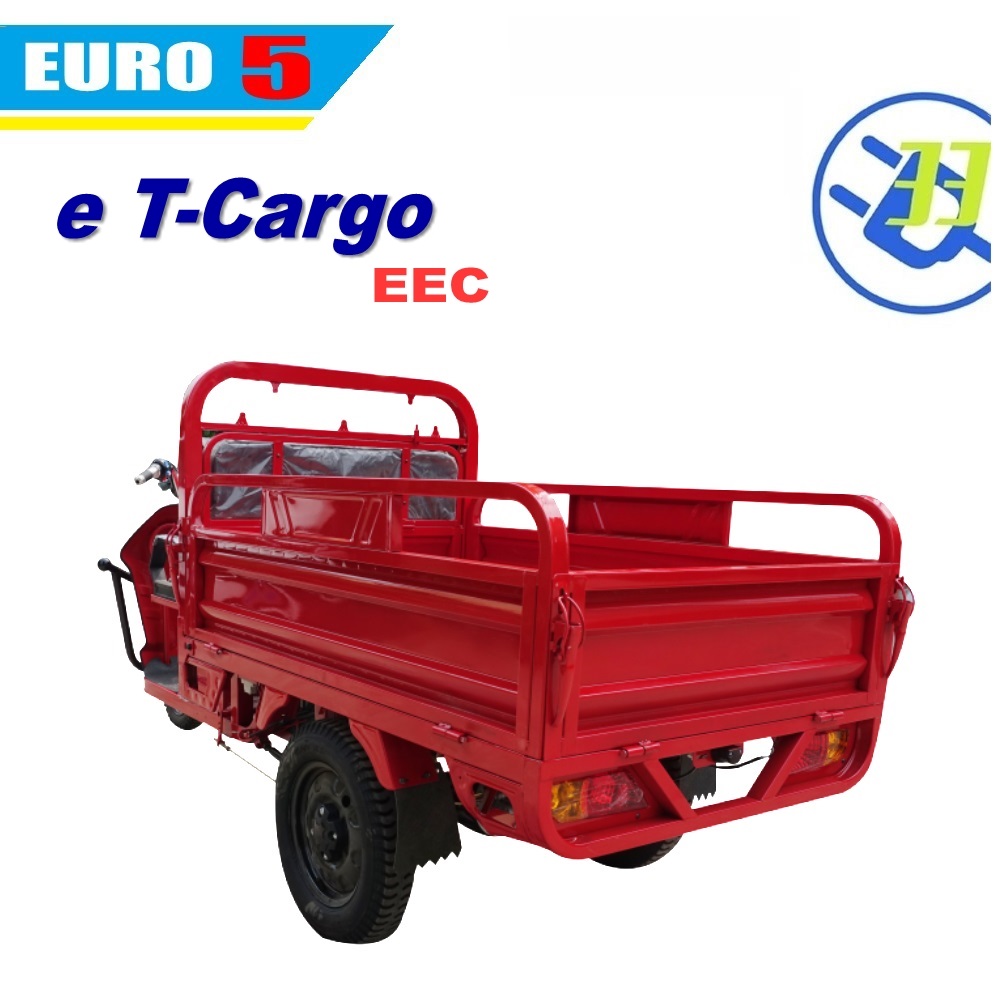 Rear view of the electric cargo trike showing the cargo area
