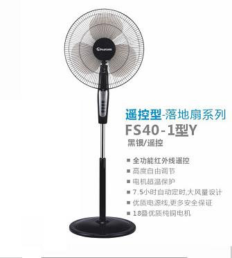Remote Controlled Pedestal Fan with Timer