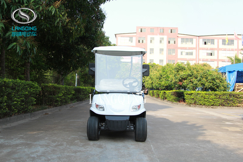 ELECTRIC GOLF CAR - Image 2