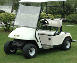 Electric Golf Cart