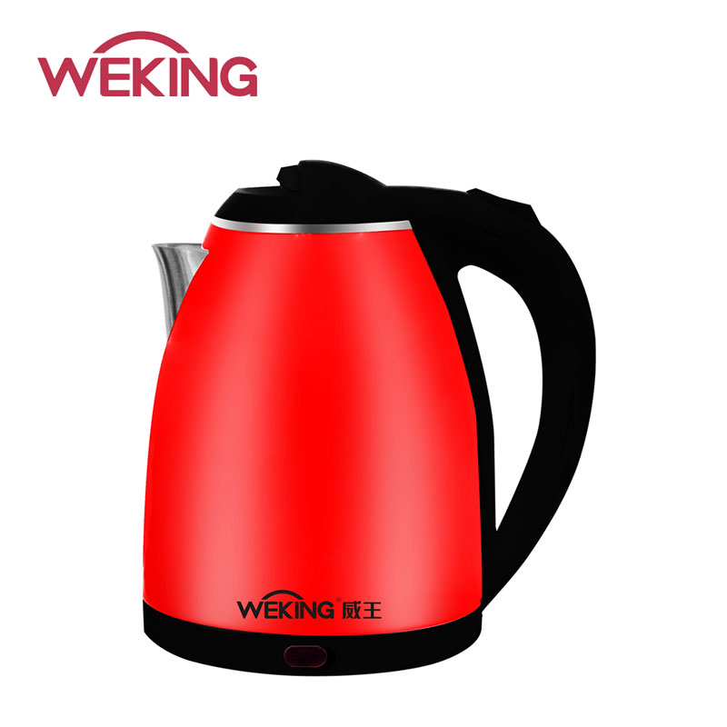 Electric Kettle with Automatic Shut-Off