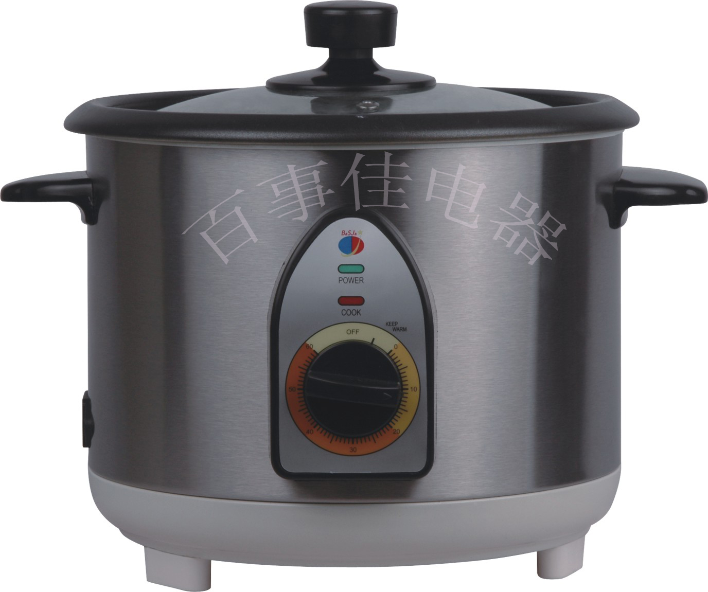 Electric Food Warmer and Cooker