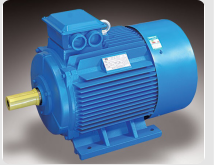 ELECTRIC MOTOR - Image 2