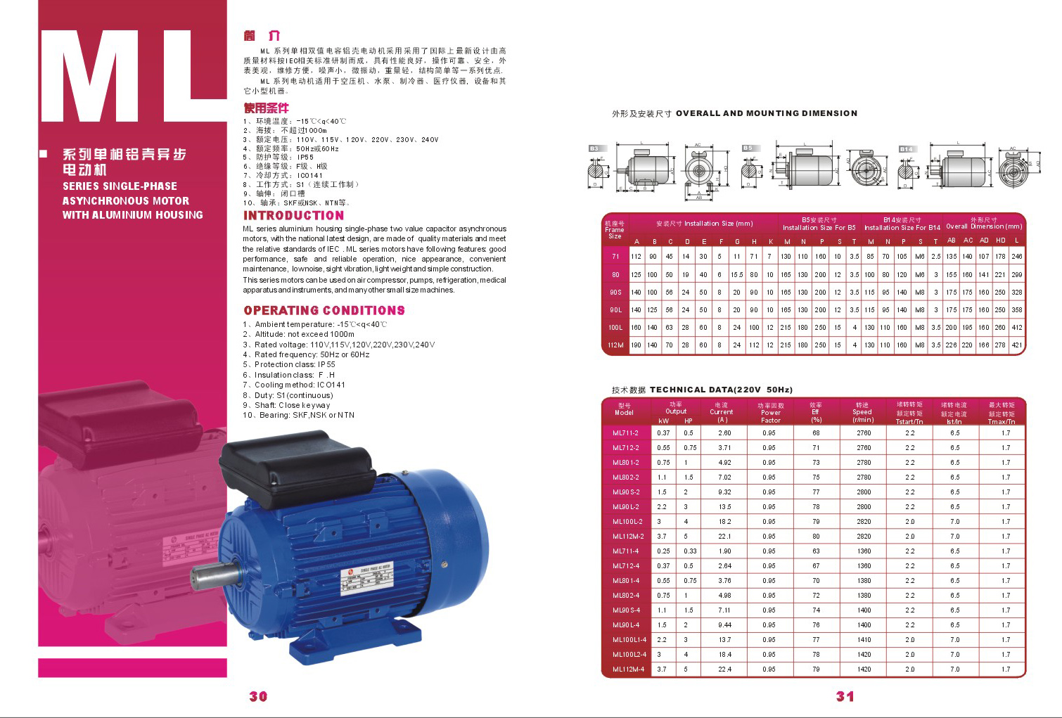 ELECTRIC MOTOR MOTOR ELECTRICO - Image 3