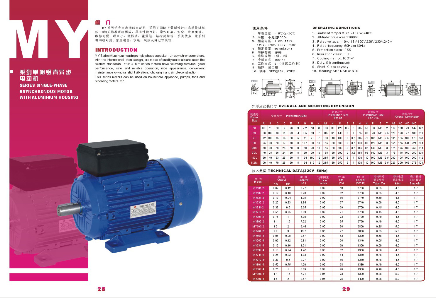 ELECTRIC MOTOR MOTOR ELECTRICO - Image 2