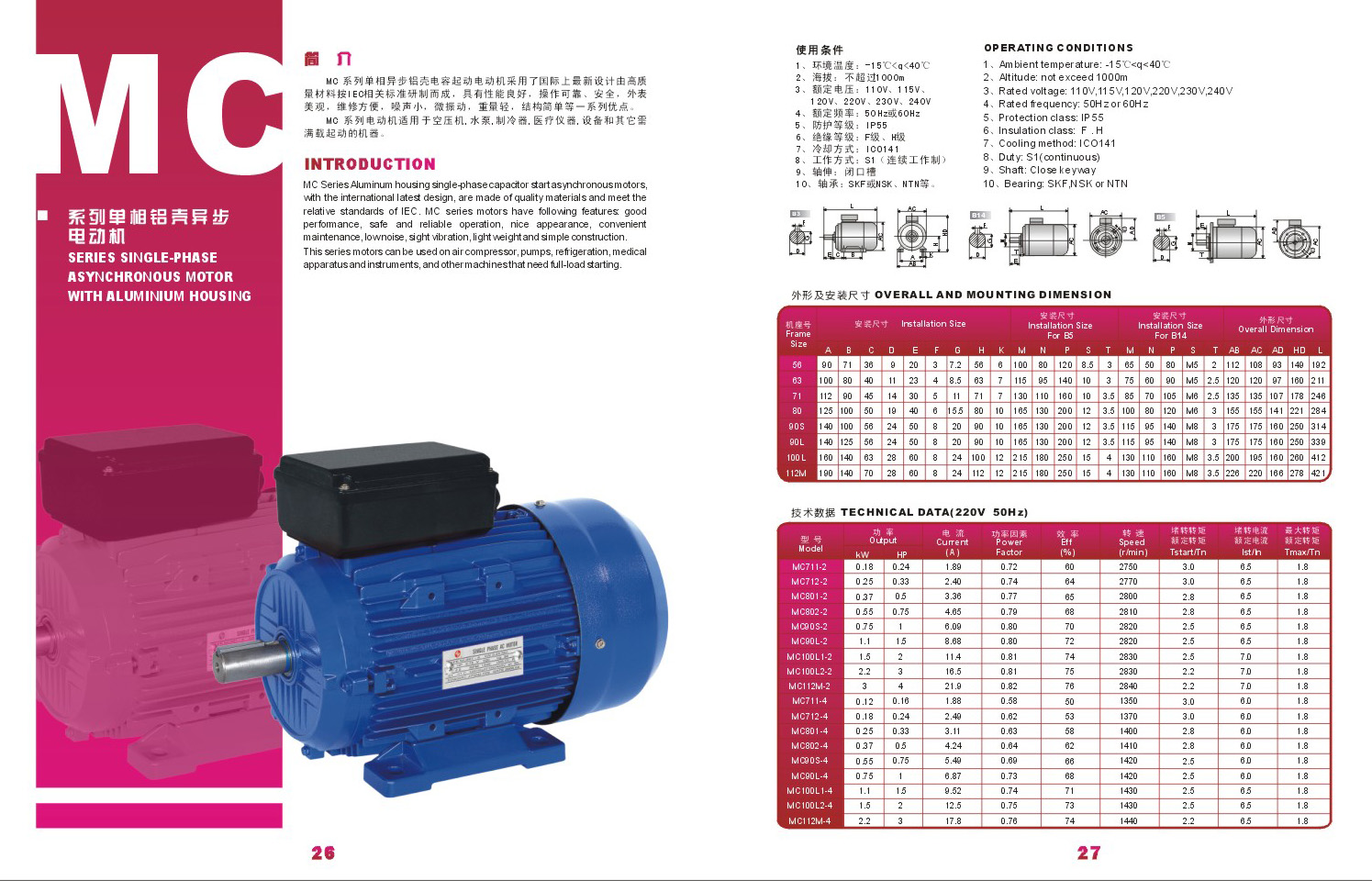 Single-Phase Asynchronous Electric Motor