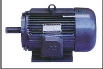 Industrial AC Electric Motor