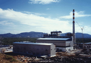 Industrial Power Generation Facility