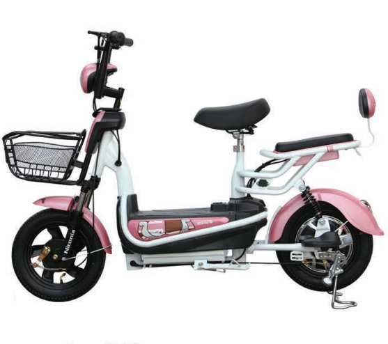 Electric Scooter with Pedal Assist