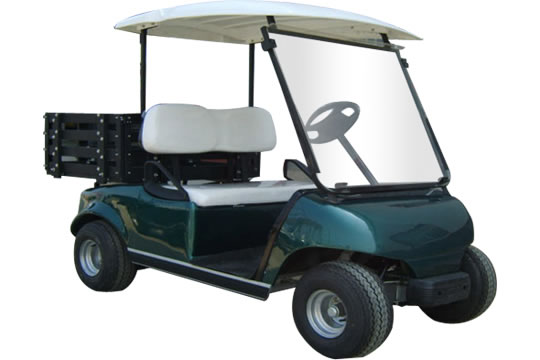 Electric Sightseeing Vehicle with Canopy and Cargo Bed