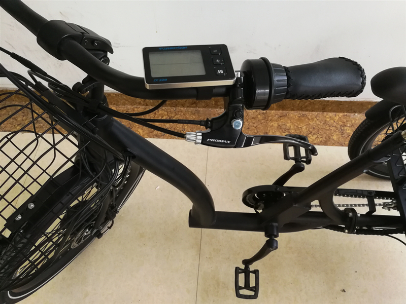 Electric Assist Step-Through Tricycle