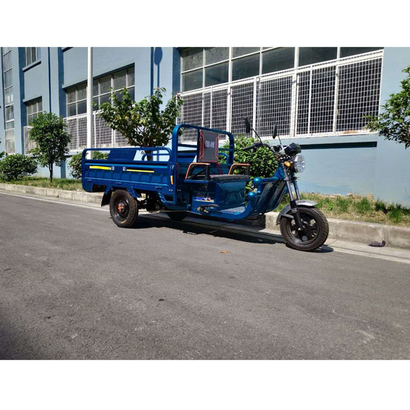 electric tricycle (GWSB-8) - Image 3