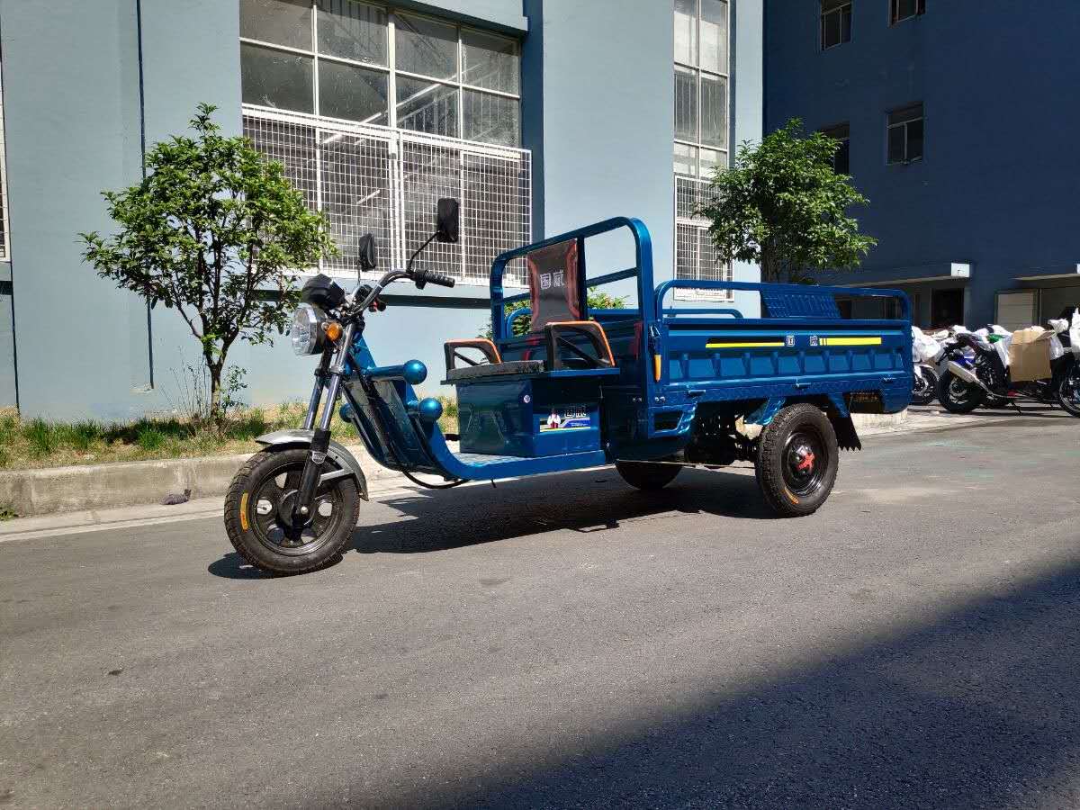Electric Cargo Tricycle