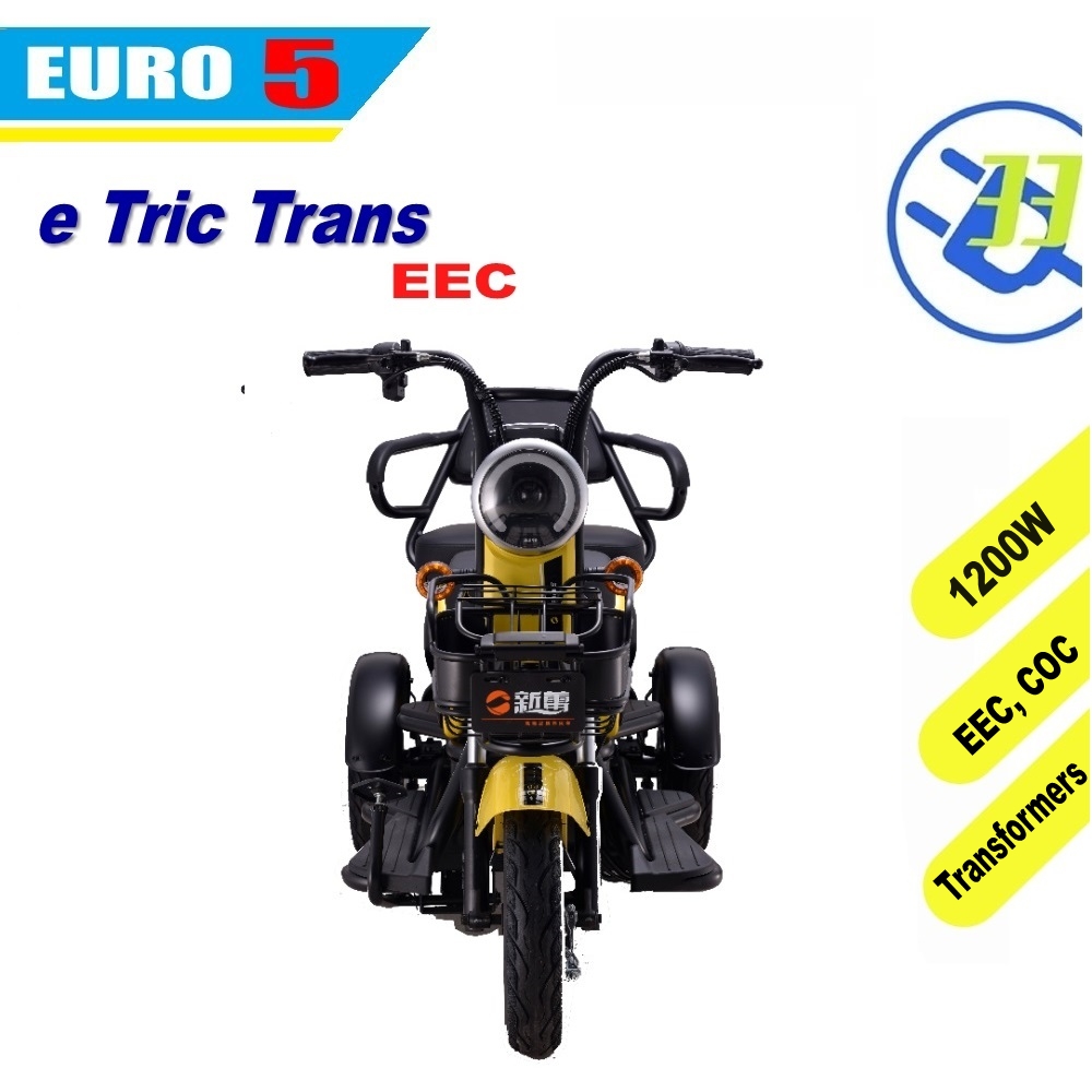 electric tricycle scooter e motorcycle EEC EURO5 COC (T Trans) - Image 3