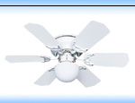 Residential Ceiling Fan with Light