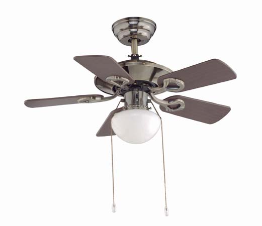Ceiling Fan with Light