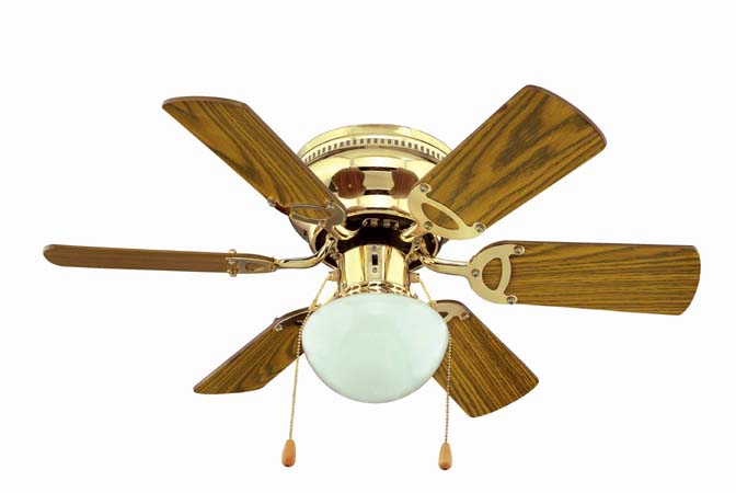 Indoor Ceiling Fan with Light