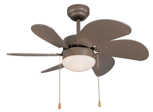 Indoor Ceiling Fan with Light