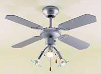 Indoor Ceiling Fan with Light
