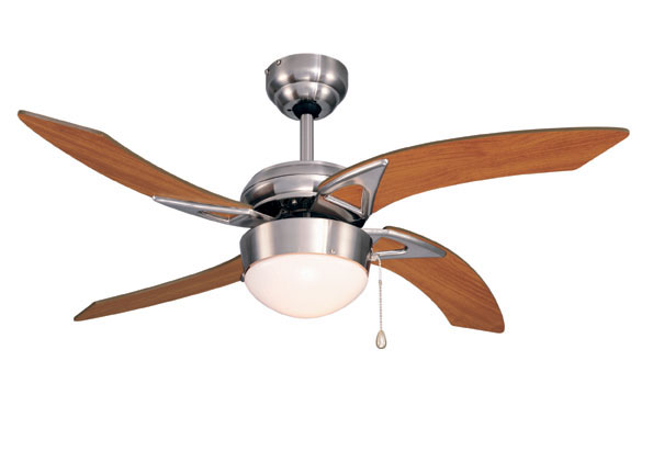 Indoor Ceiling Fan with Light