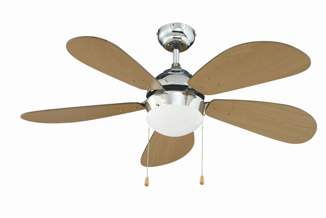 Indoor Ceiling Fan with Light