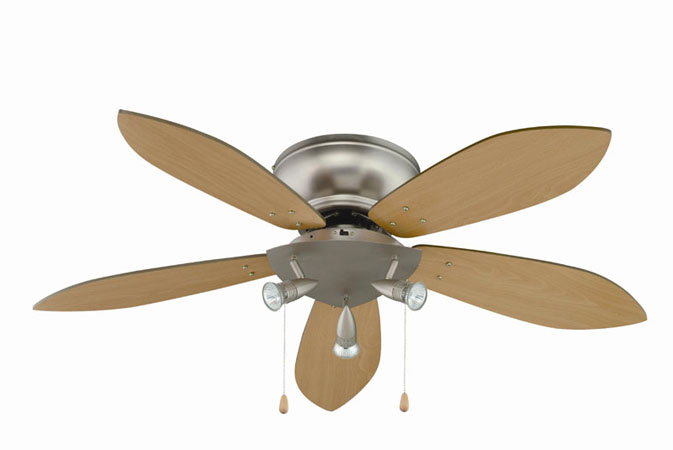 Indoor Ceiling Fan with Light