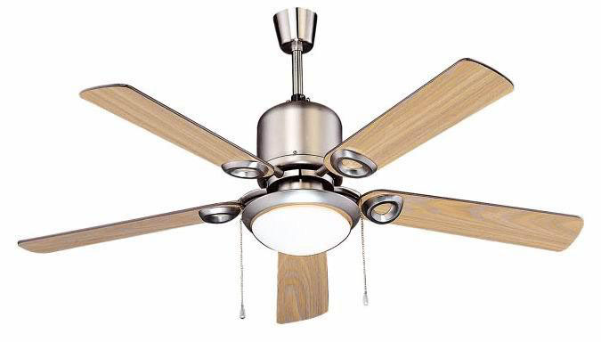 Ceiling Fan with Light Fixture