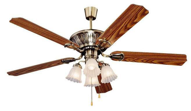 Indoor Ceiling Fan with Light