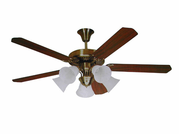 Ceiling Fan with Light