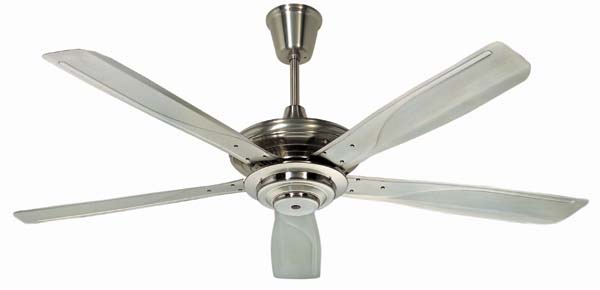 Ceiling Fan with Light